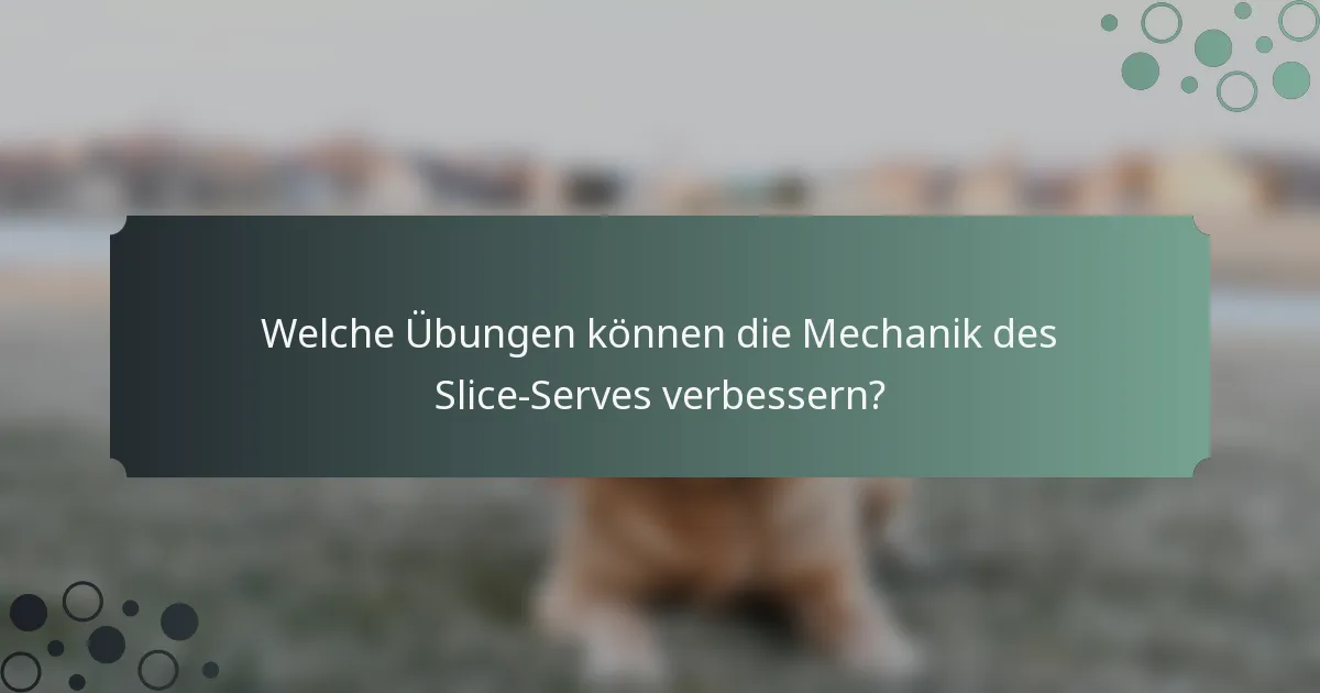 Welche Übungen können die Mechanik des Slice-Serves verbessern?